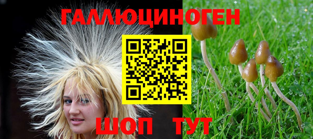 Анжеро-Судженск  Галлюциногенные грибы Psilocybe  Вход с VPN 