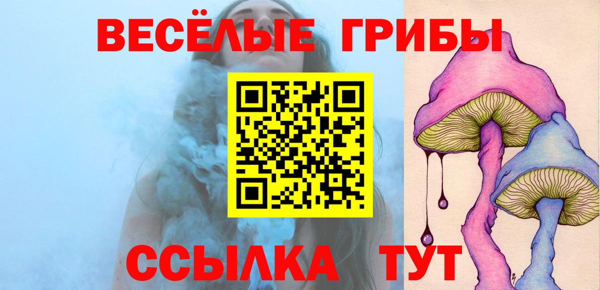 Псилоцибиновые грибы Psilocybine cubensis Анжеро-Судженск