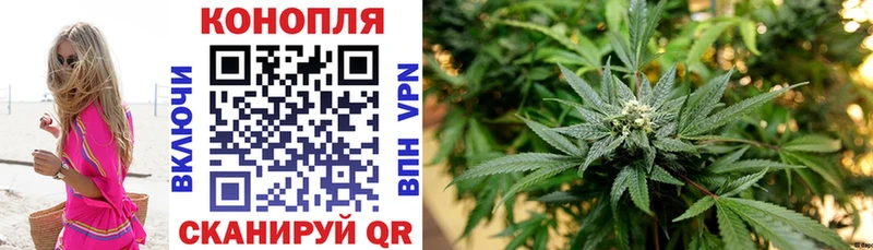 Бошки Шишки семена Анжеро-Судженск